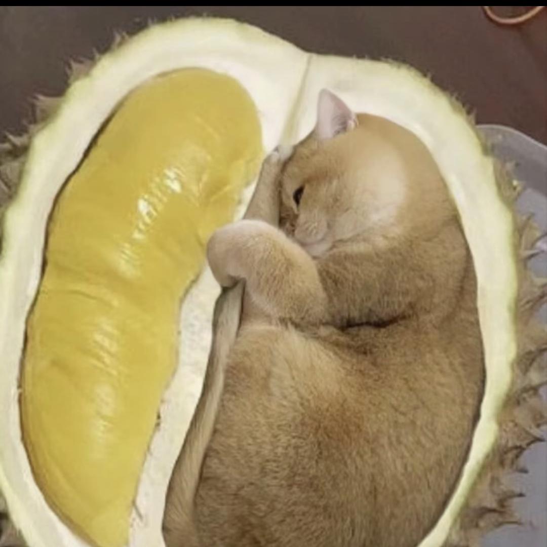 老实人