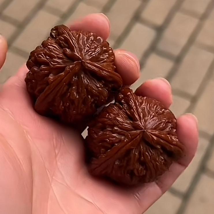 核家