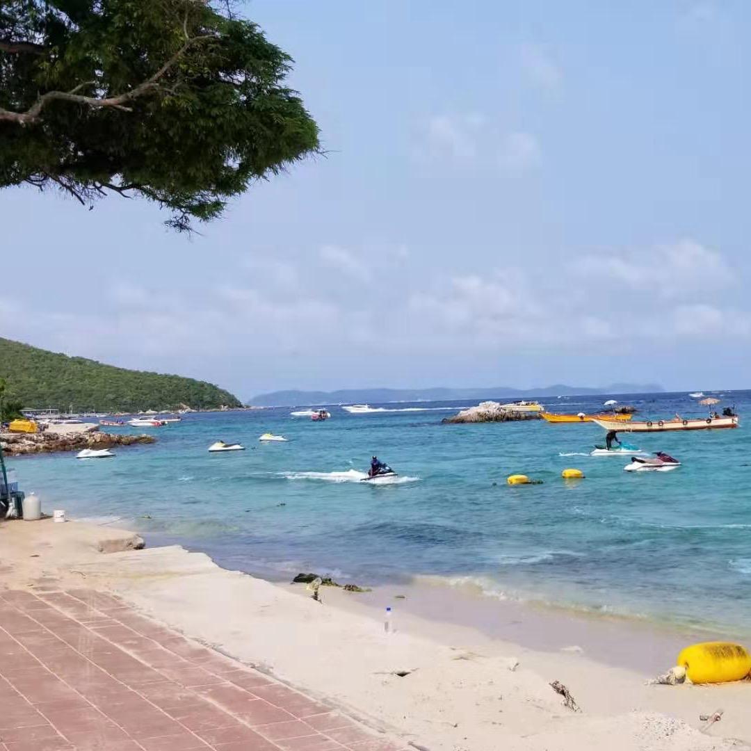 豆豆@