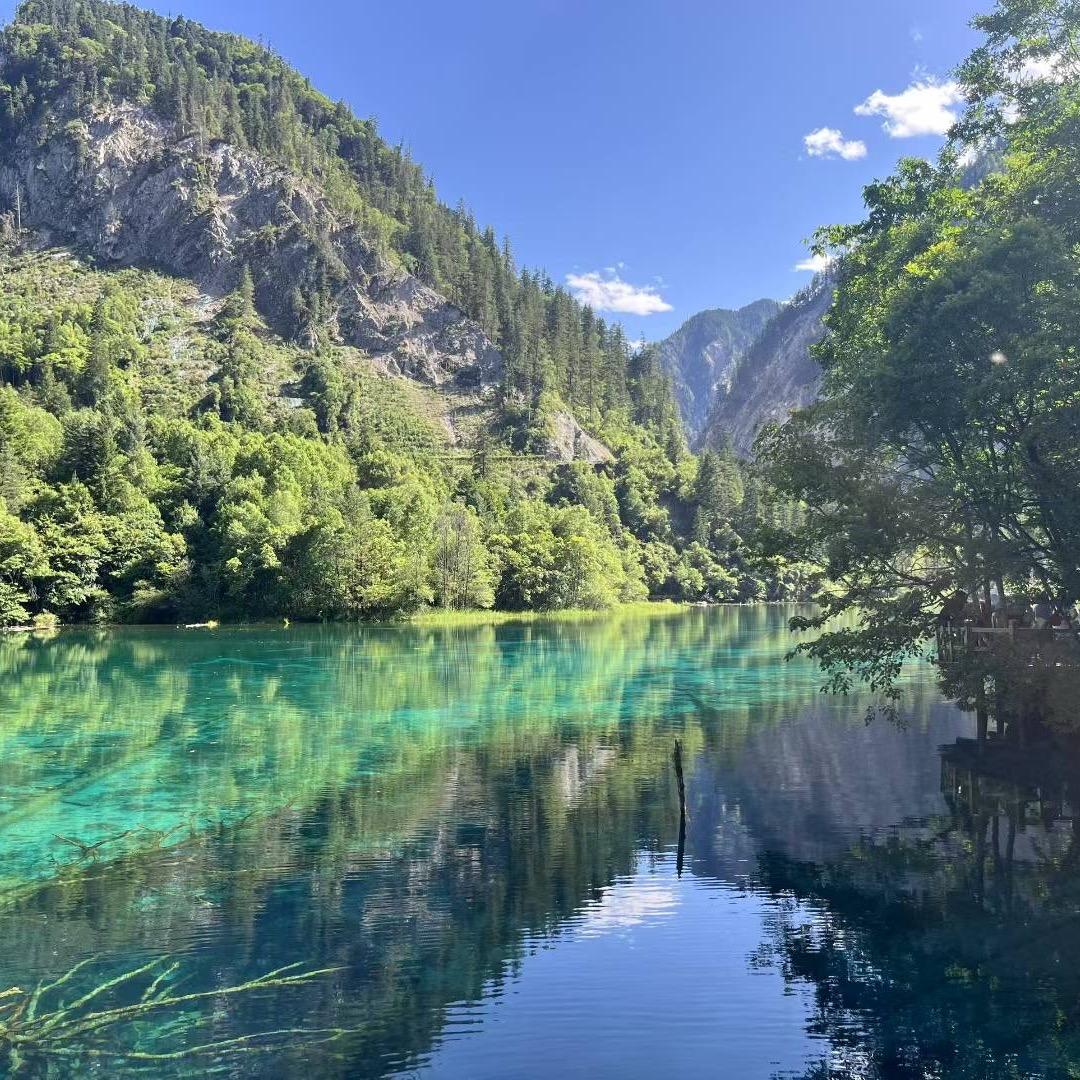 岁月静好🍀