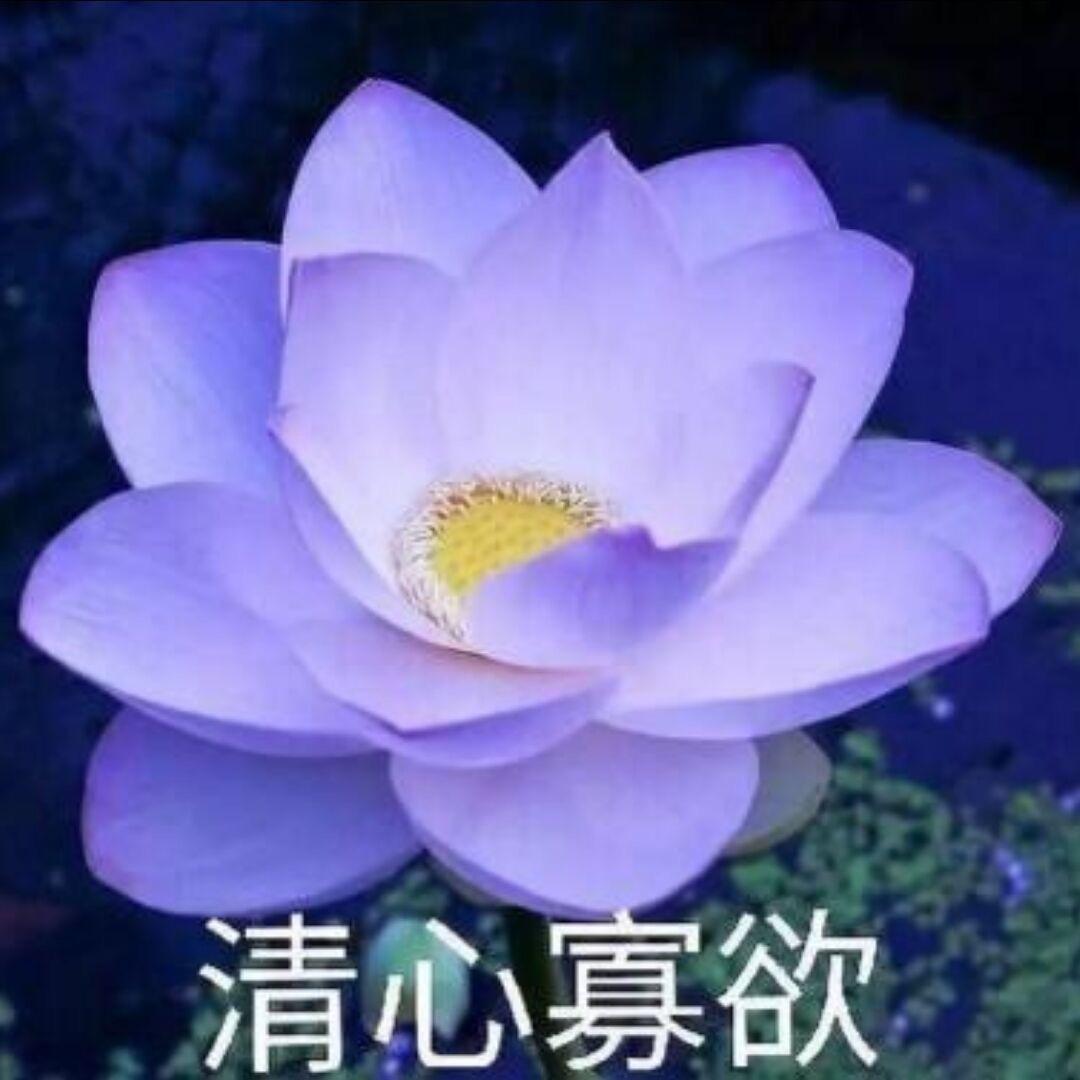 🌈平安囍樂🌈