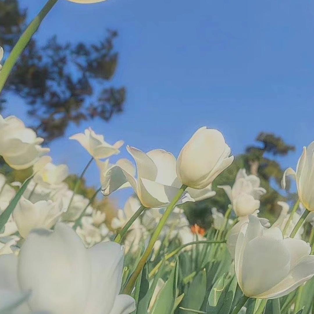 一一短剧