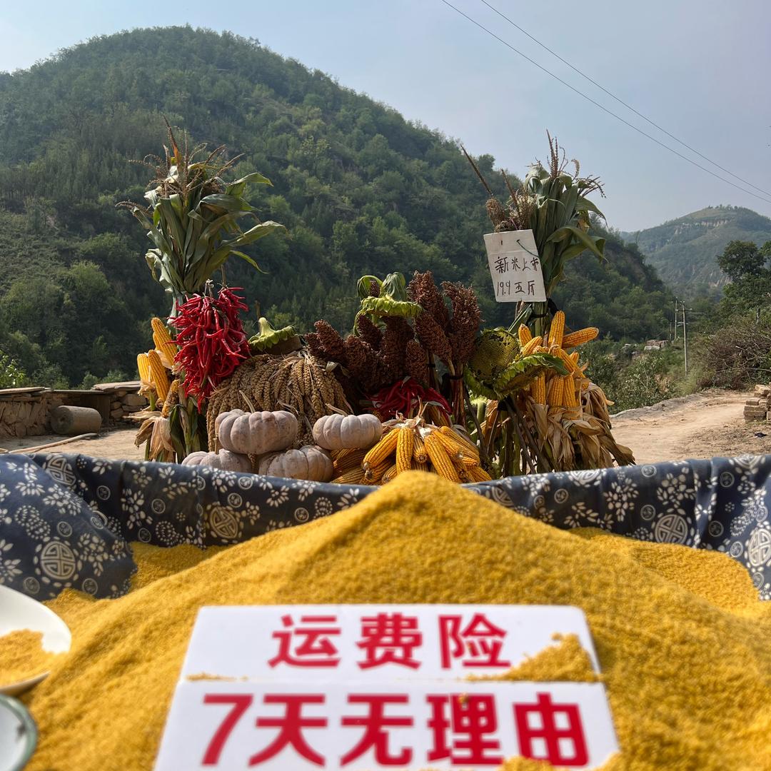 庄户人家的日常生活