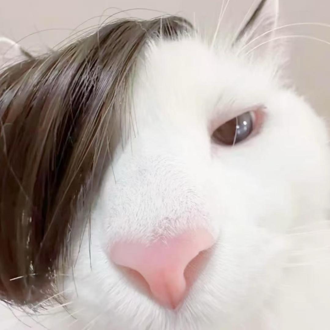 狡猾的农村人