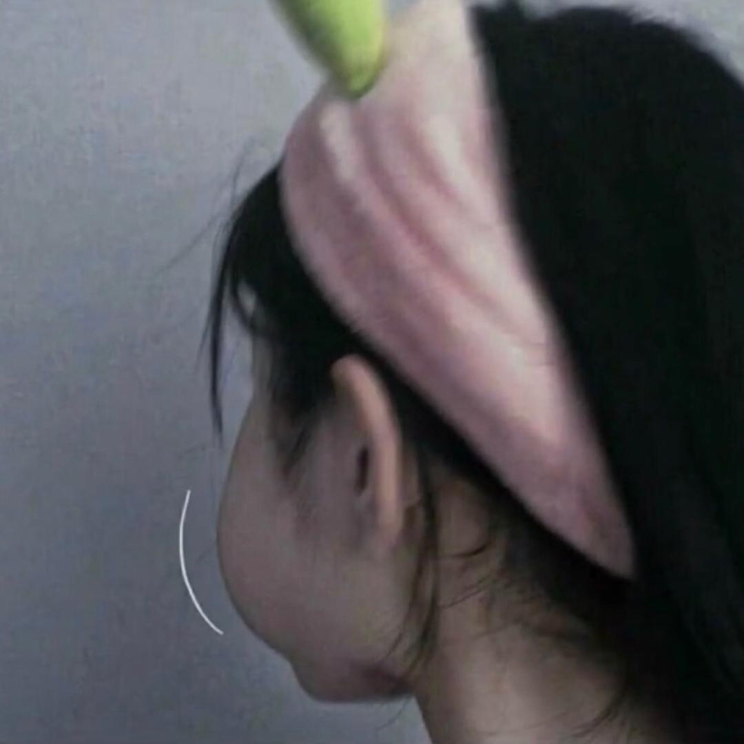 有点懒的豆芽菜