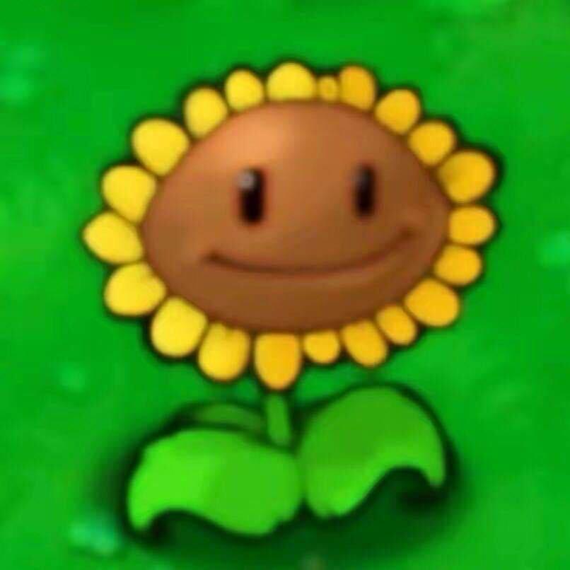 …….