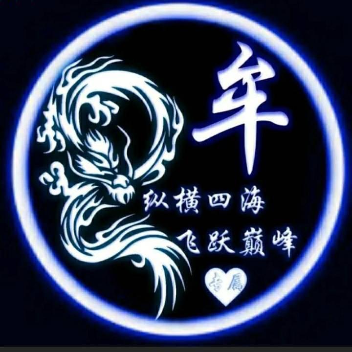 开宝马捡破烂