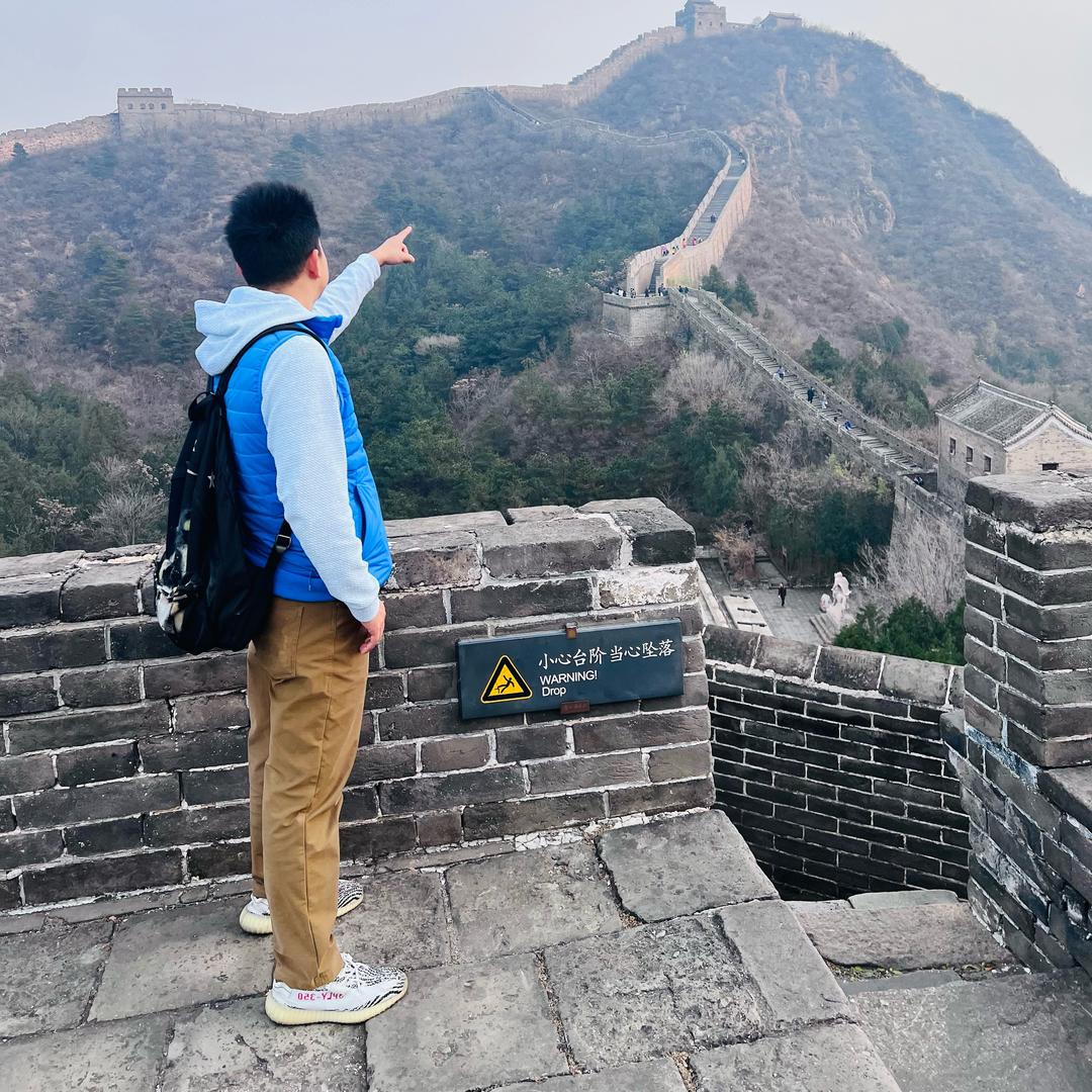 白鹅一起游