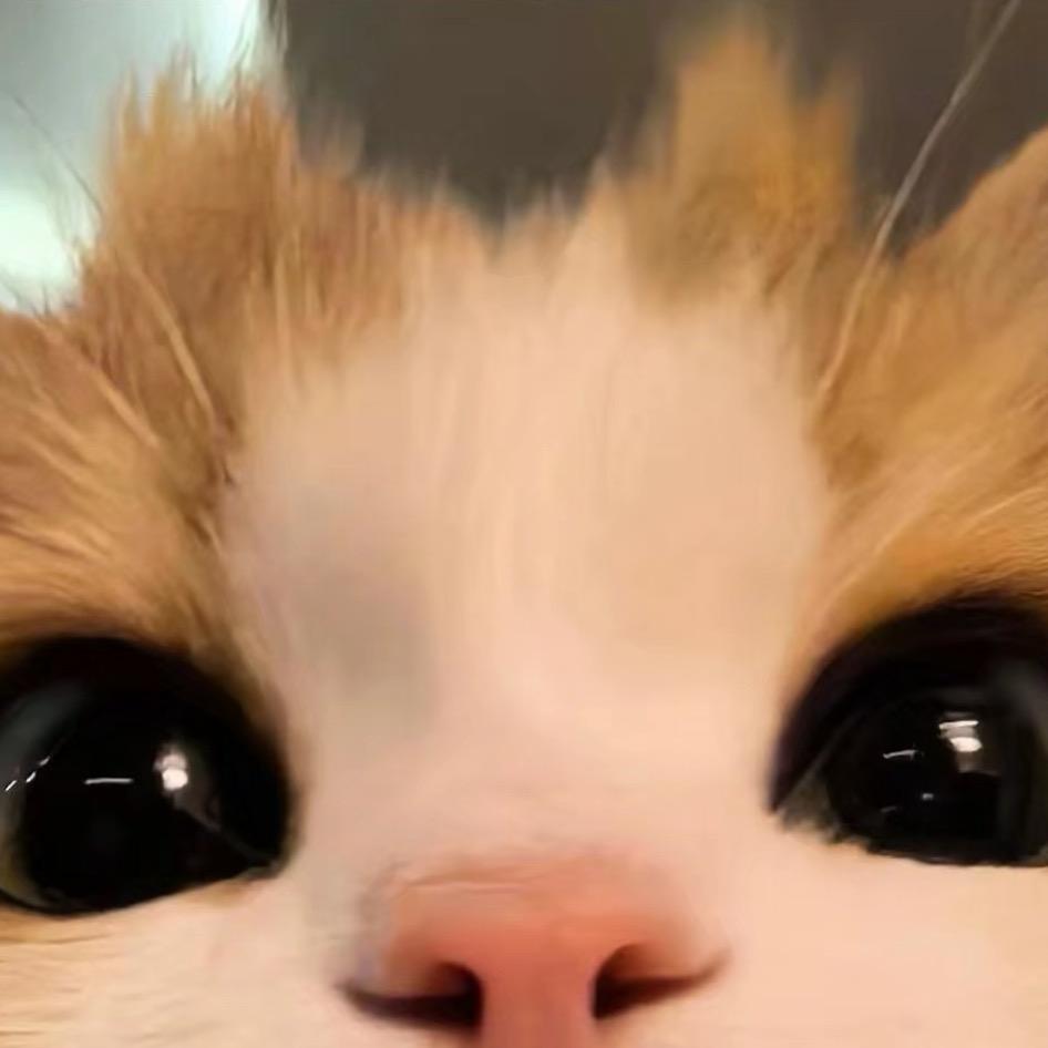 coisini（爱苗苗版）