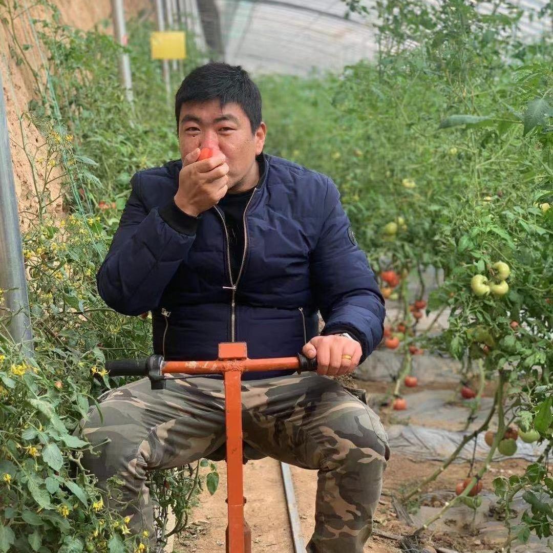 中高考规划师（龙老师）