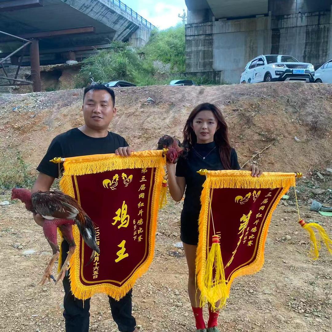 清水江斗鸡