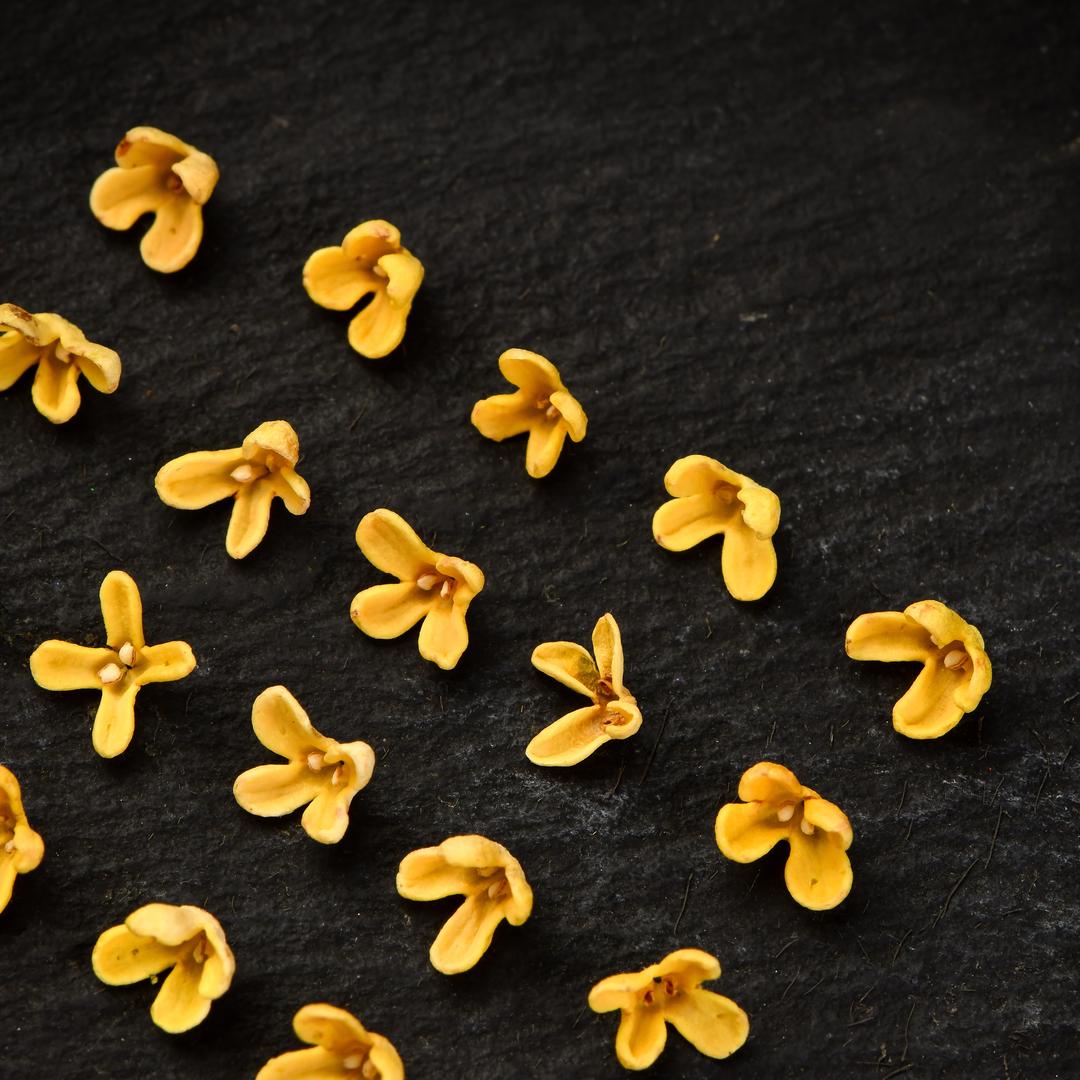 桂林金禾农业有限公司