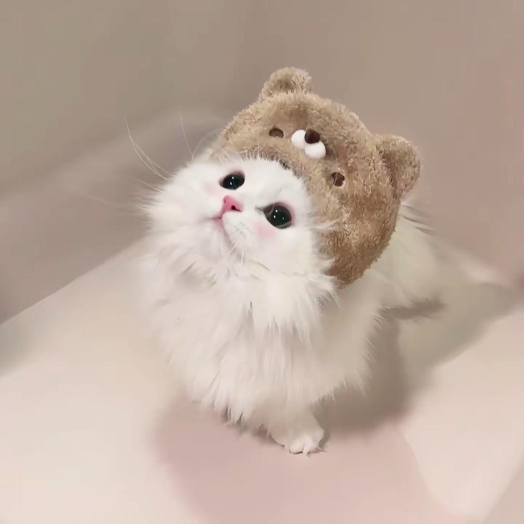 悲欢离合