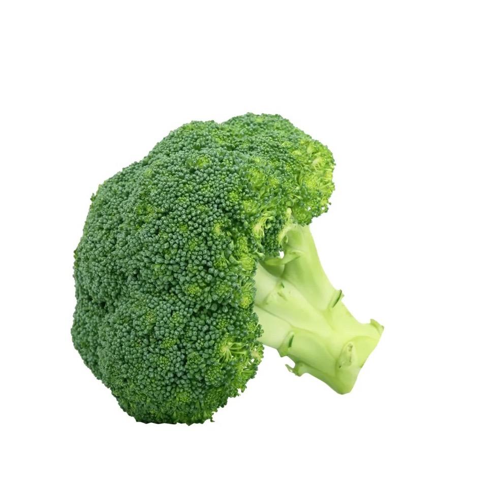 菜根🥦