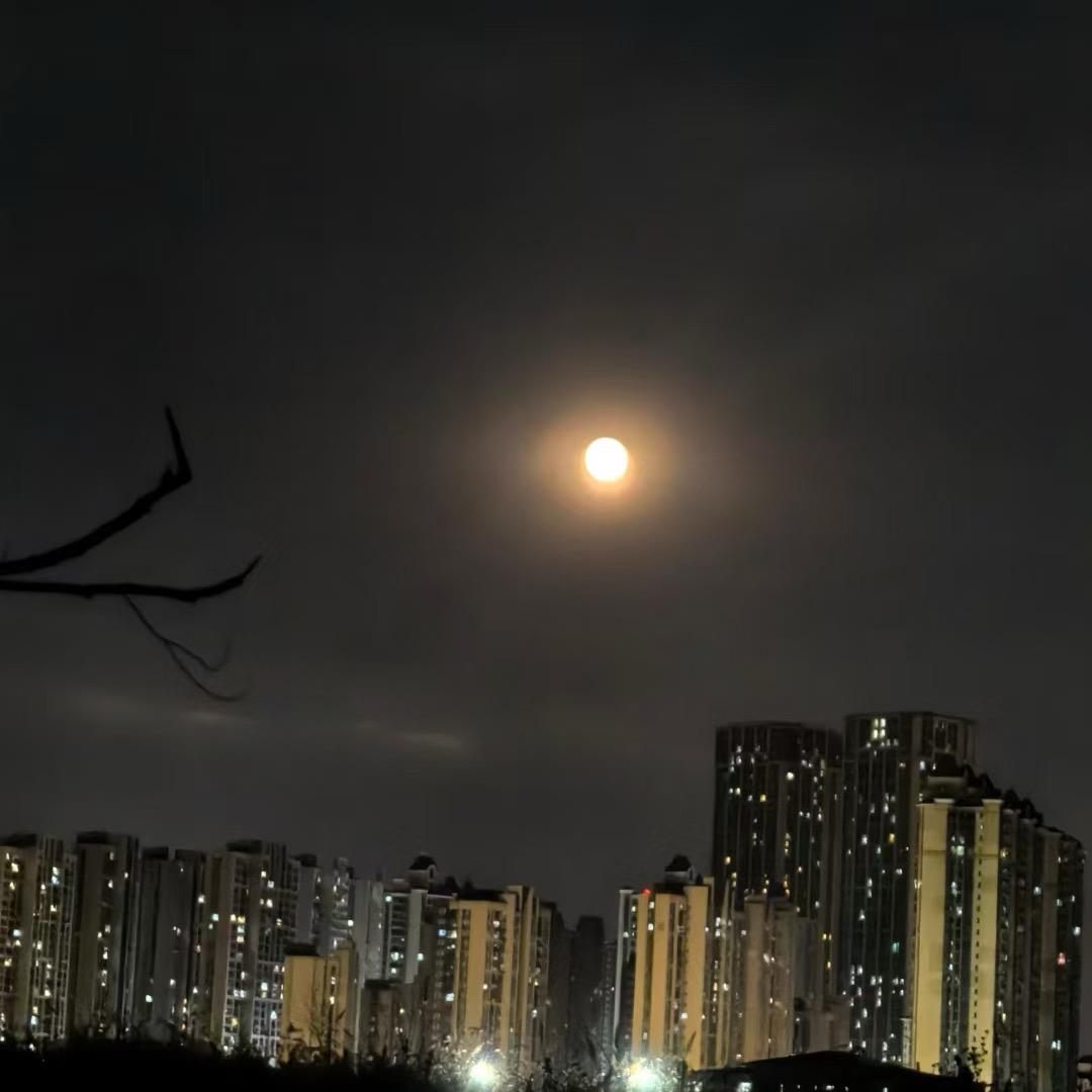 🌈曾经沧海难为水