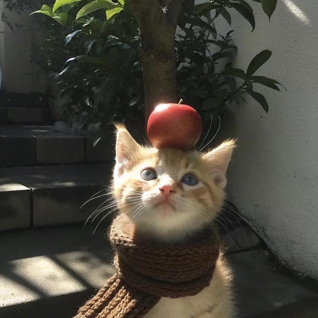 十年.