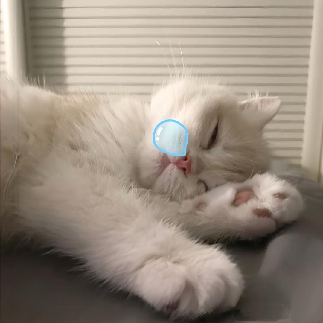 我不哼了