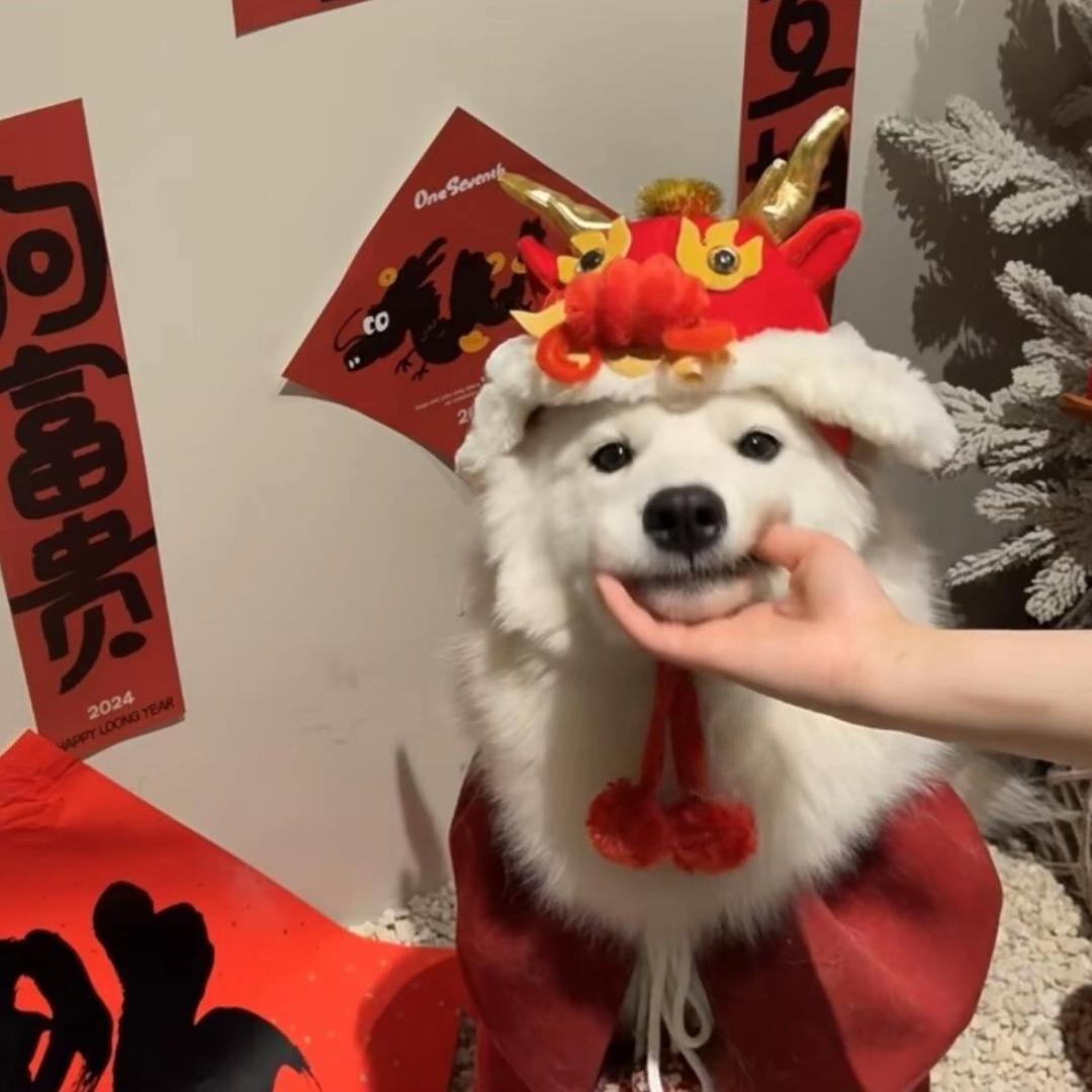小阳