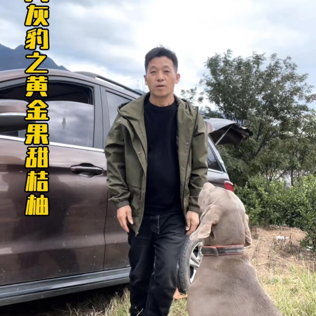 庆元灰豹食品商行