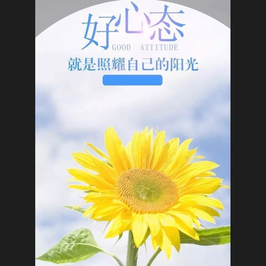 面朝大海春暖花开😁