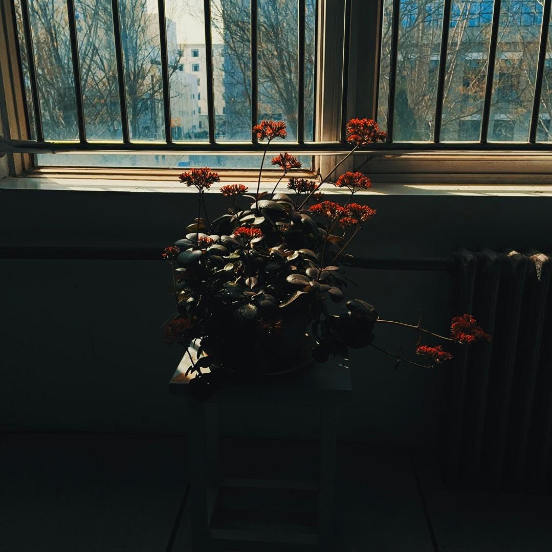 走马灯中看人生