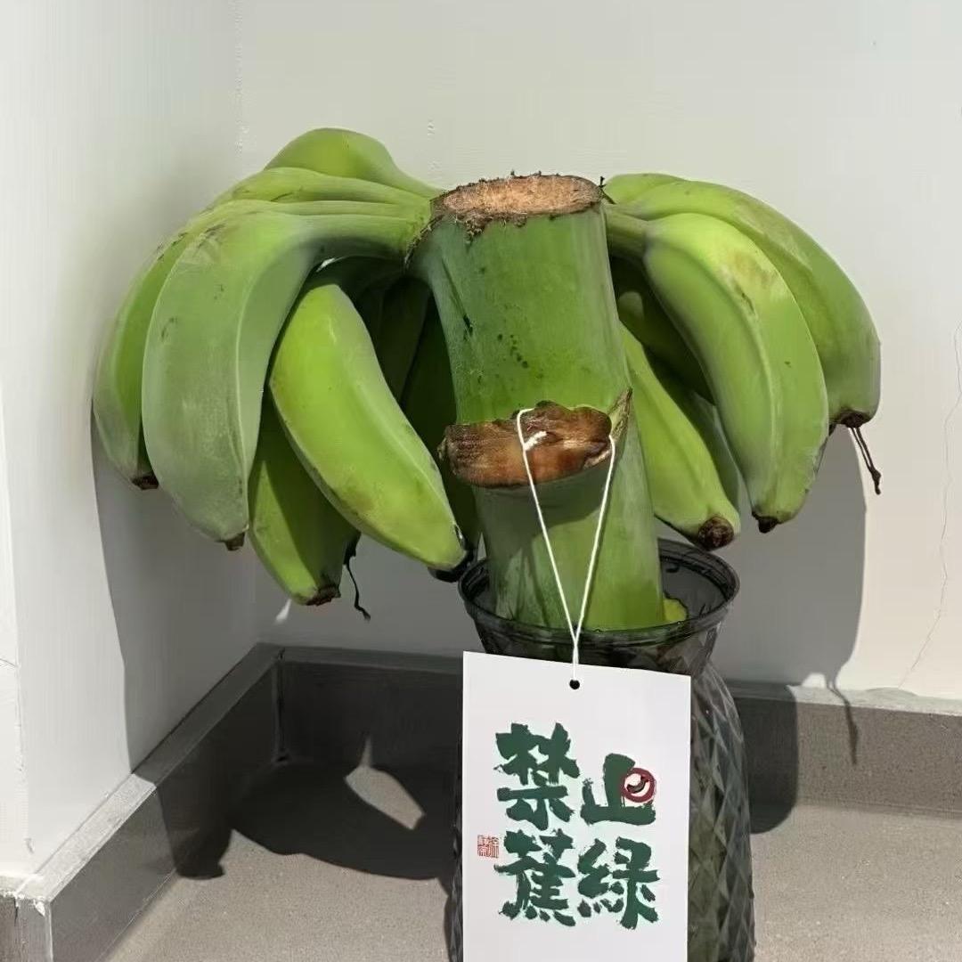 米洛克🐒