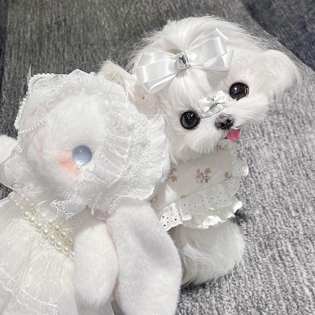 Yr嫣㜣宠物发饰铺