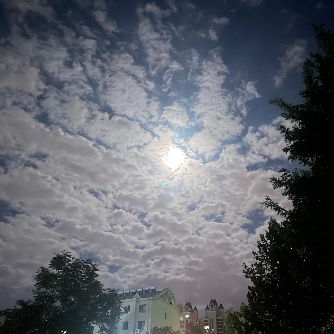 还有谁毛毛雨