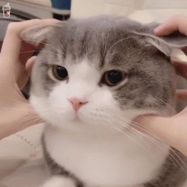 叮噹