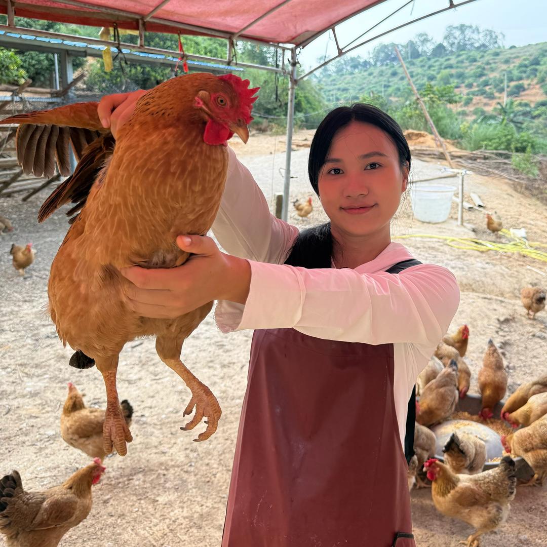 小萍在农村