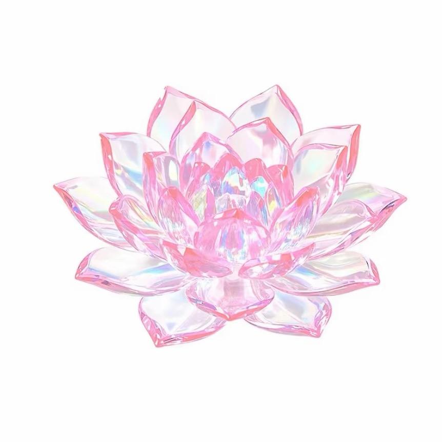 一小朵🌸