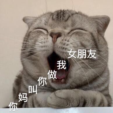 不知道🤷‍♂️