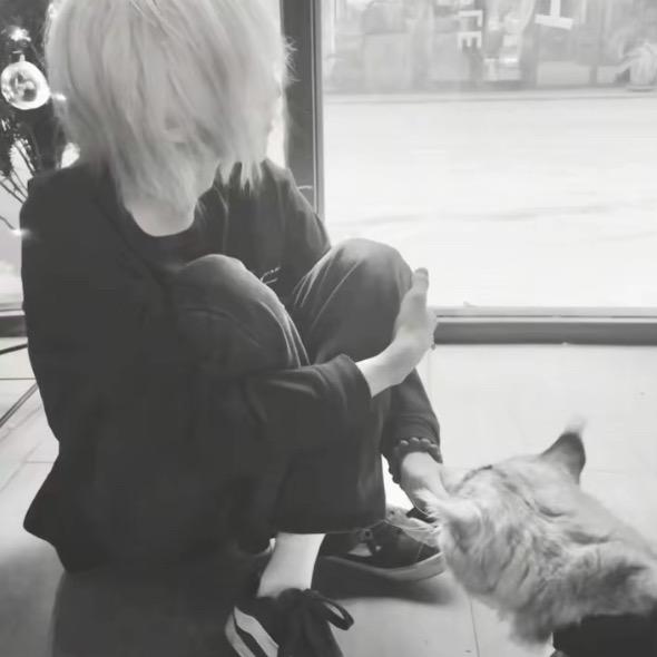 早悟兰因