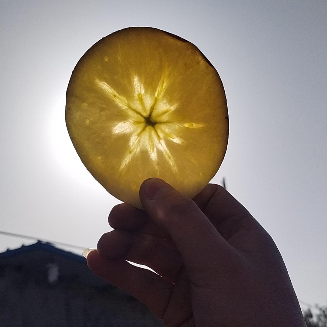 阿克苏市疆福果食品销售商行