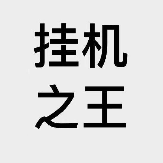 挂机之王