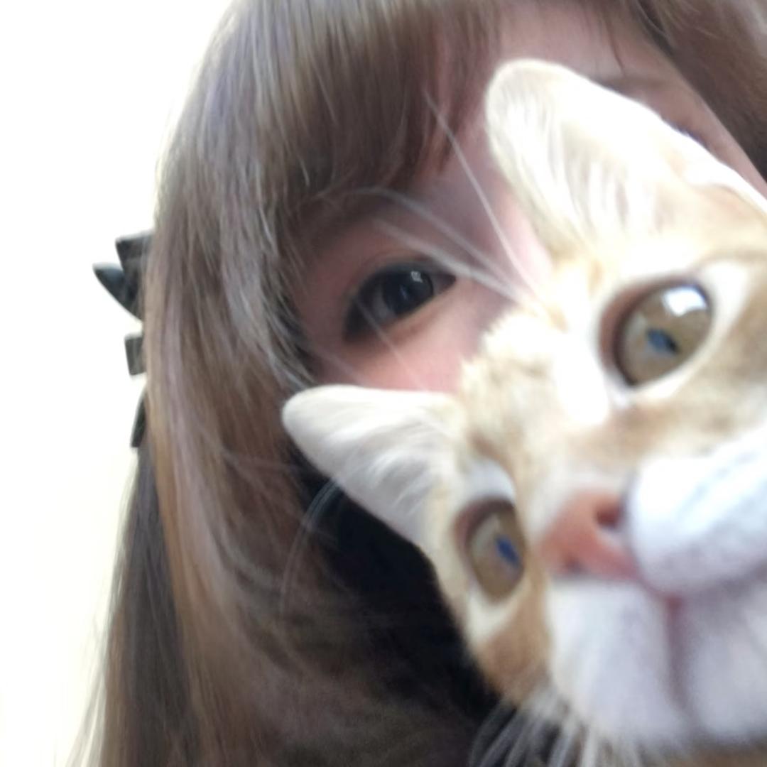 蛋蛋淡淡