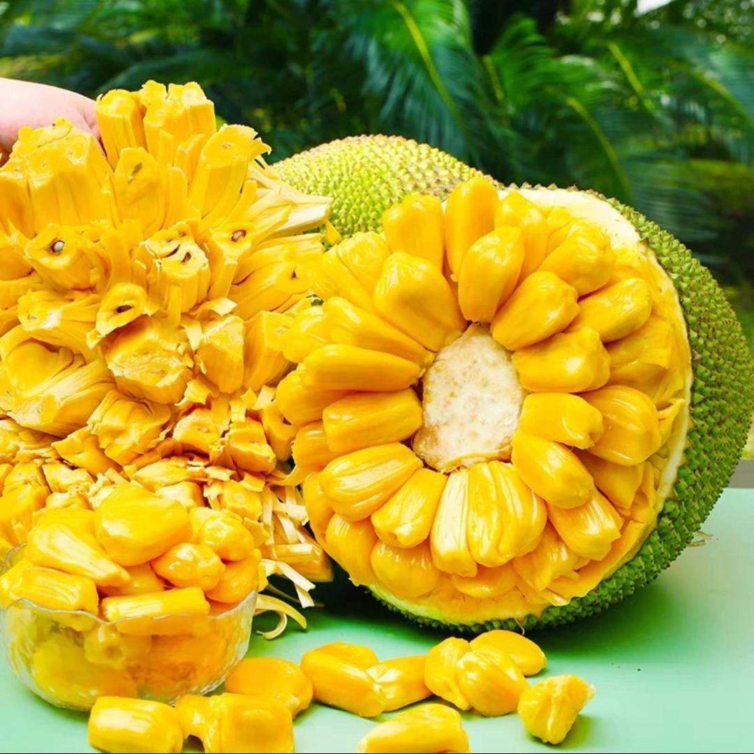 信字号菠萝蜜优选