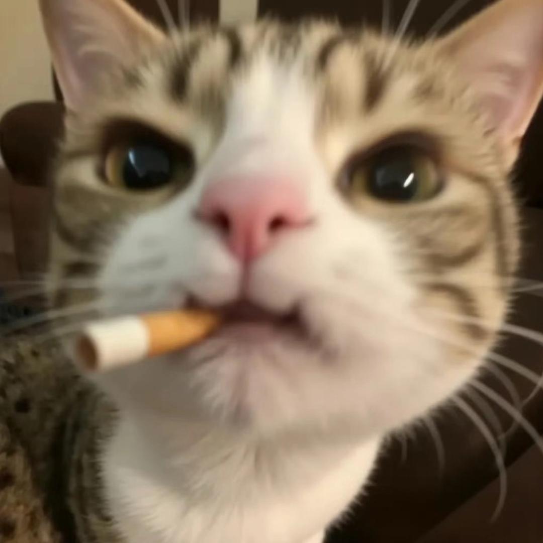 一