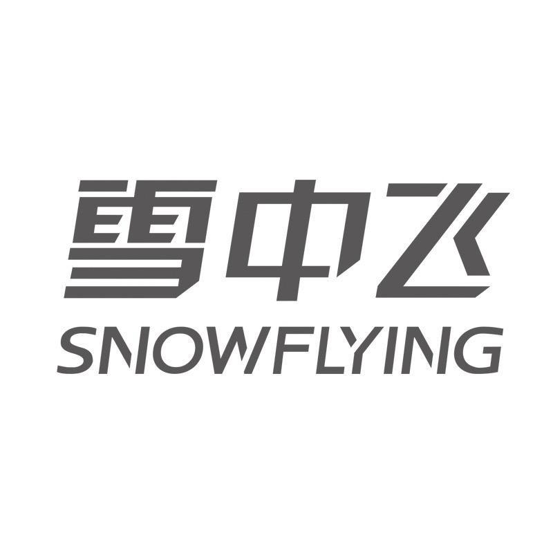 雪中飞童装甄选店