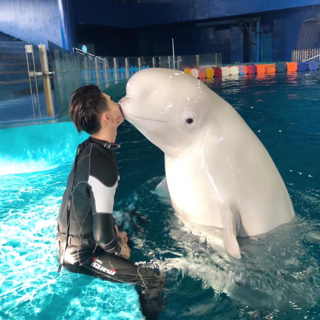 狗子