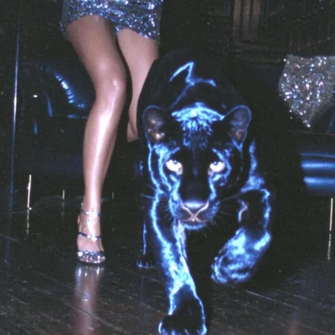 我要八方来财万事顺遂一夜暴富财源滚滚💰