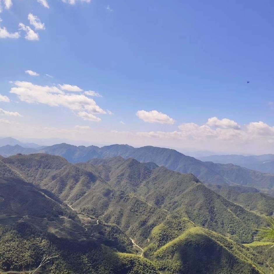 万福永鲜100超市