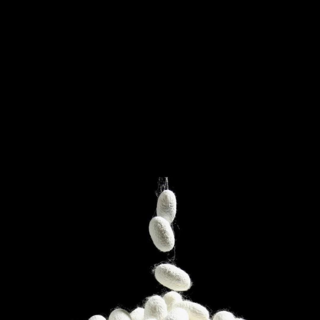 吉祥 羊绒羊毛