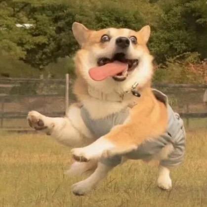 南溪丶