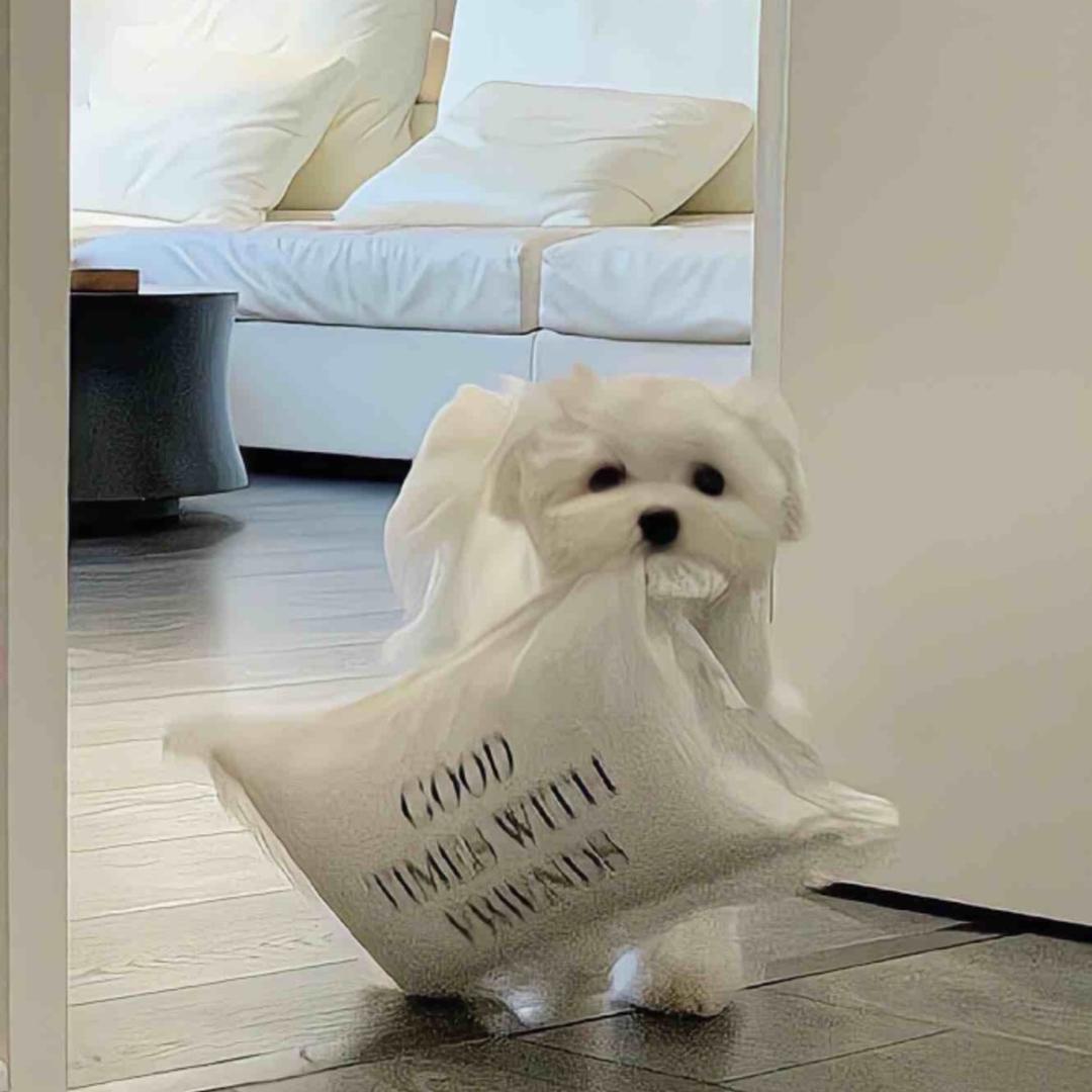 KK阿