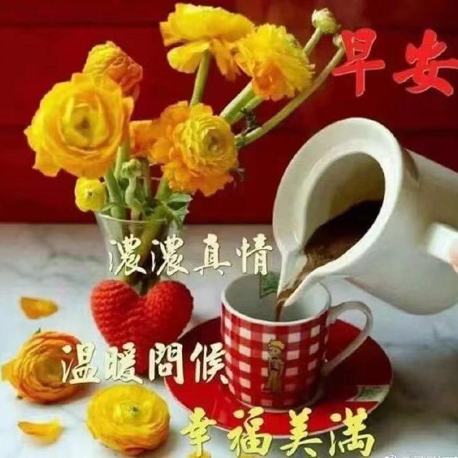 绚丽