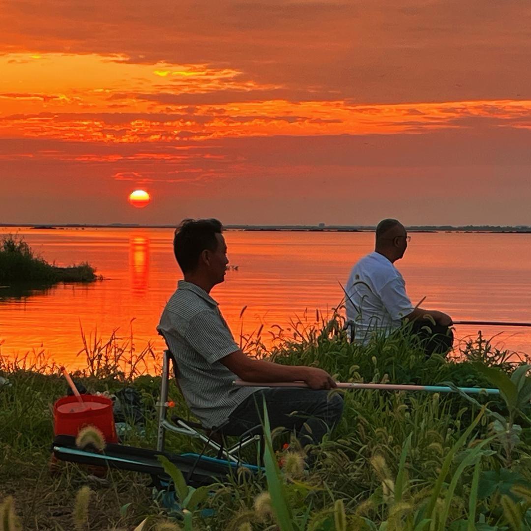 皖江高校情报社