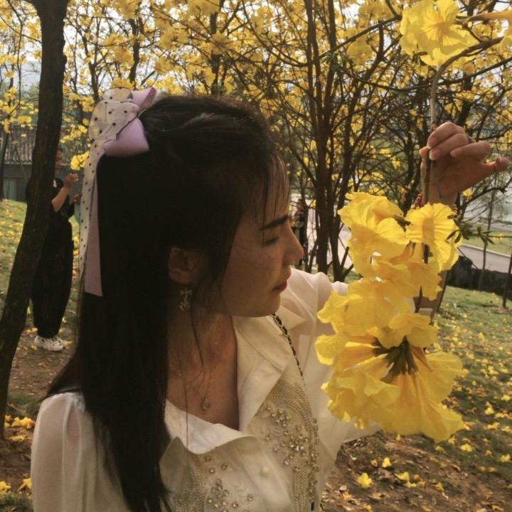 💞寨主驾到💞