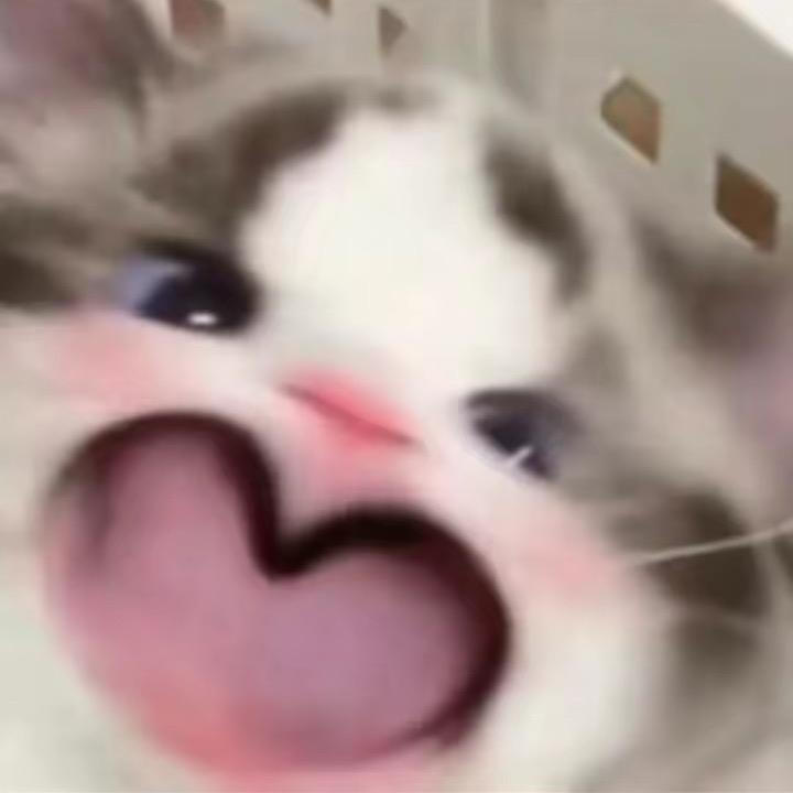 小乔大王