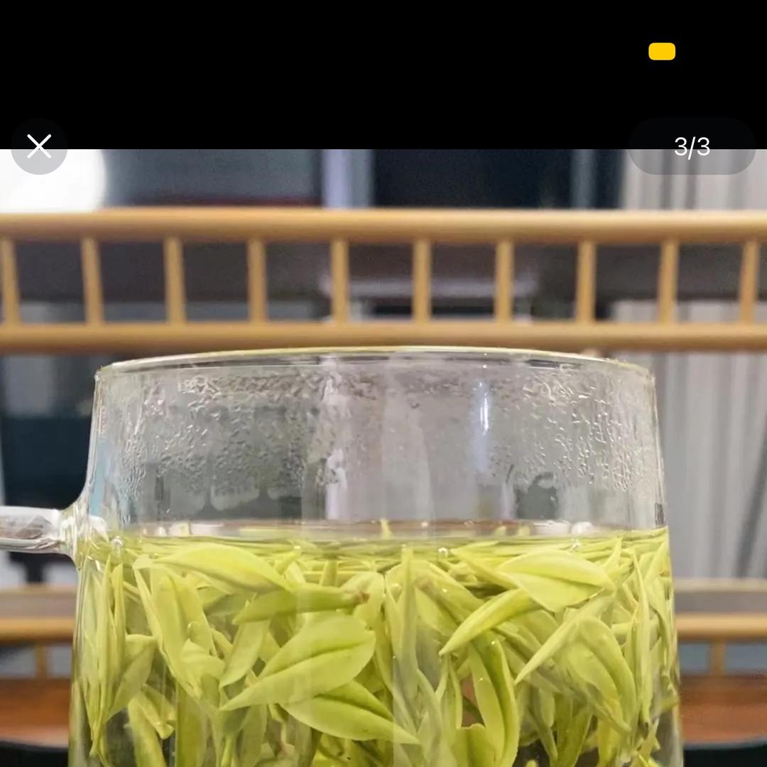 安吉惊蛰茶场